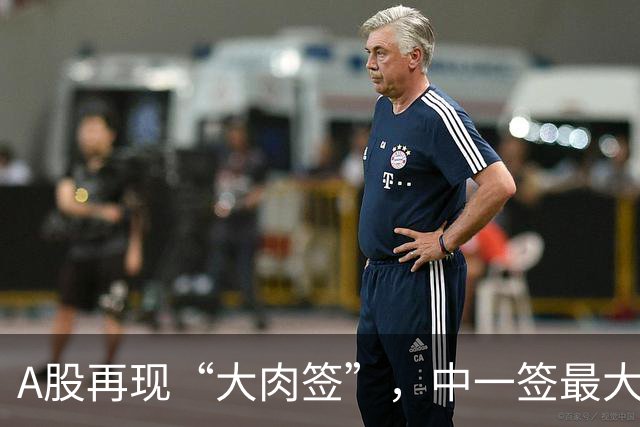 A股再现“大肉签”，中一签最大获利超12万元，赢麻了！